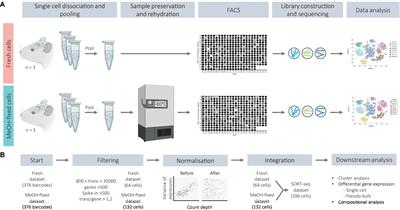 Effect of methanol fixation on single-cell RNA sequencing of the murine dentate gyrus